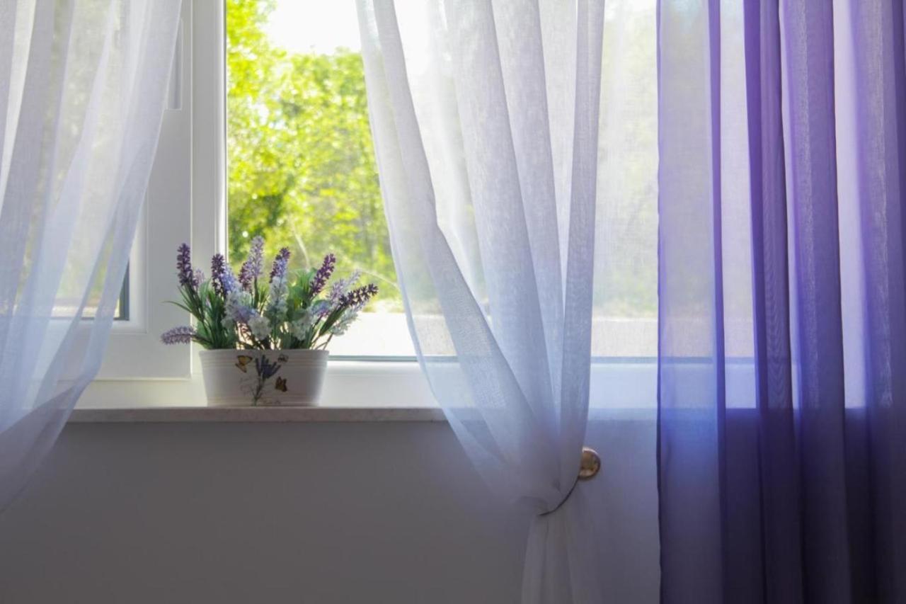 Apartment Gina تروغير المظهر الخارجي الصورة